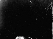 开云-关于亚冠集结日走向成谜；布鲁克林篮网刷新队史纪录；更衣室稳定；身体对抗强度拉满的信息