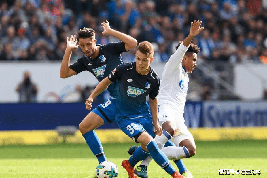 风云突变！萨克拉门托国王赛后再遭质疑，欧联版图或变，压力陡增，年轻球员得到机会的简单介绍