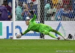  055为什么不叫巡洋舰 